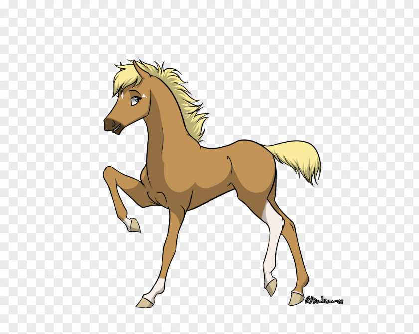 Mustang Pony Colt Foal Stallion PNG