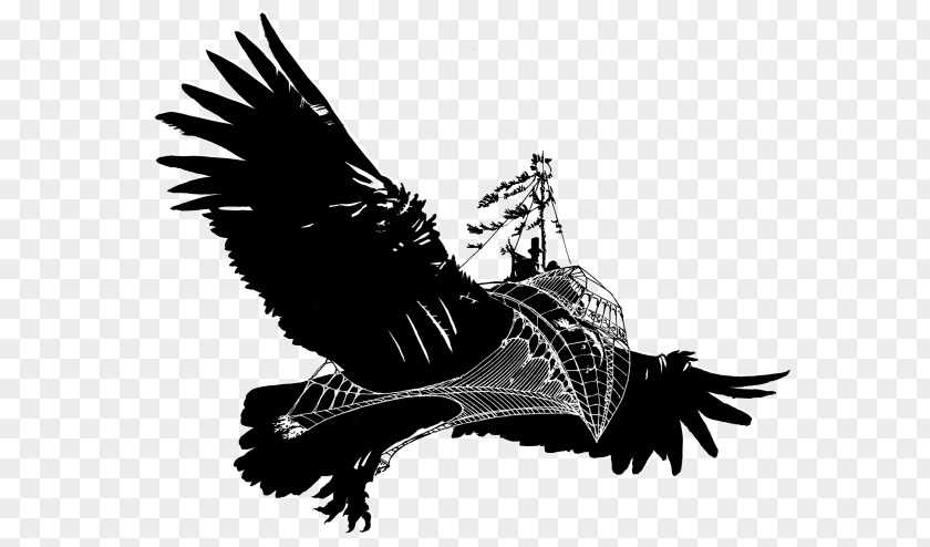 Parrot Pirate Eagle Beak Feather Silhouette PNG
