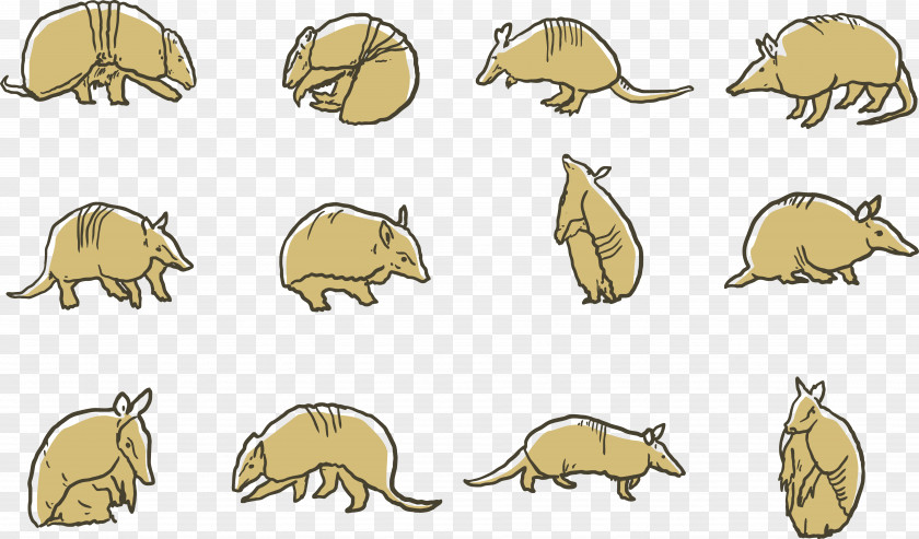 Cartoon Mouse Giant Armadillo Computer Illustration PNG