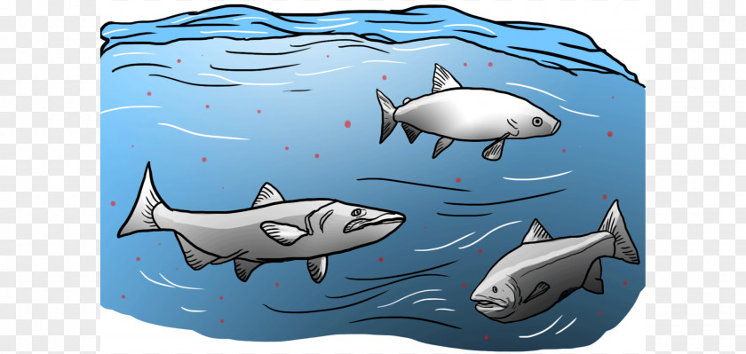 Animals Pollution Requiem Sharks Drawing Illustration Image Cartoon PNG