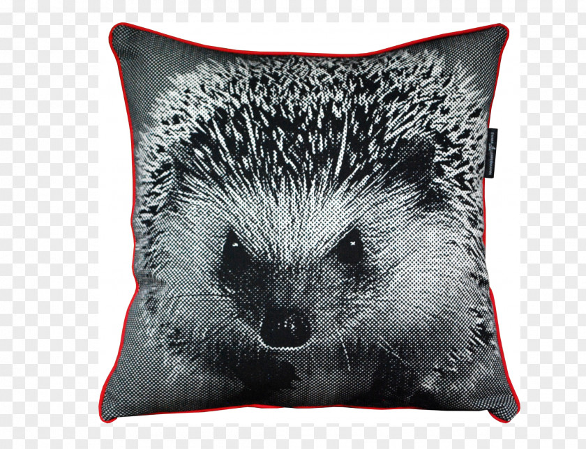 Hedgehog Domesticated Throw Pillows Hilarious Hedgehogs PNG