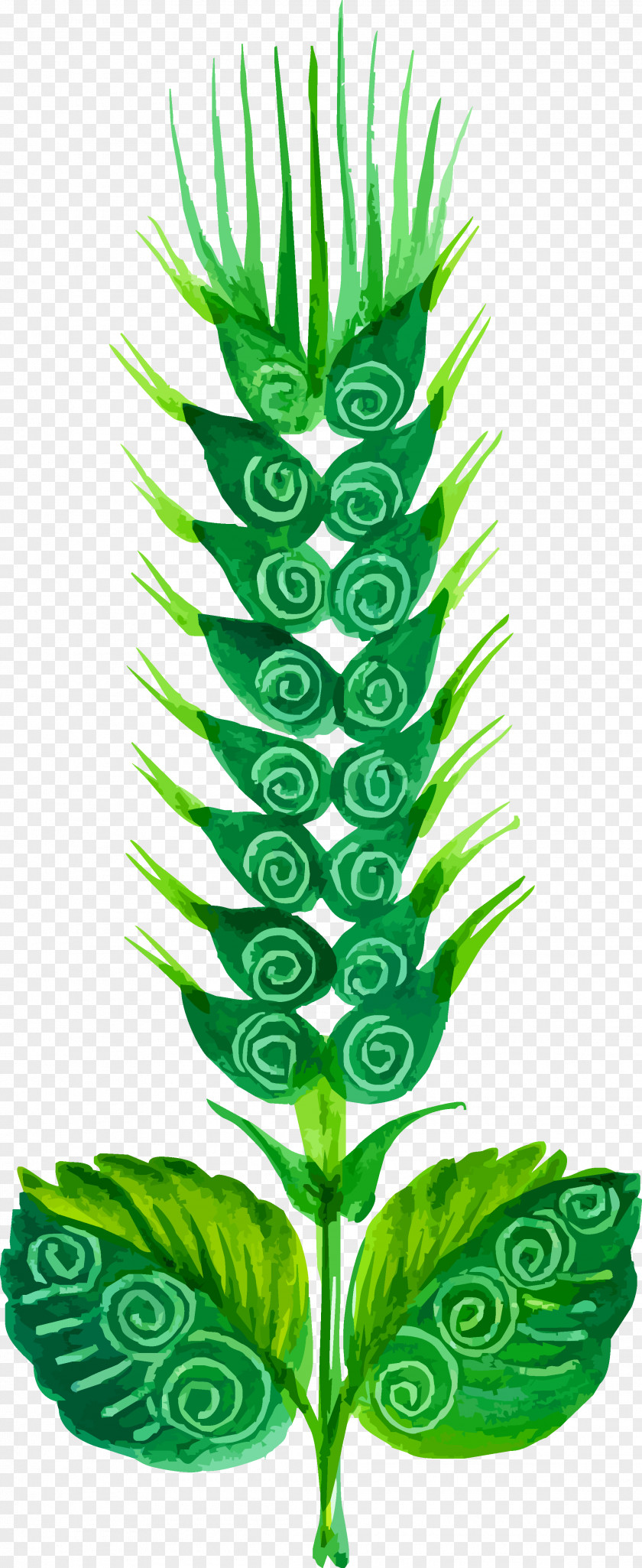 Green Wheat Flower Painting Euclidean Vector Cdr PNG