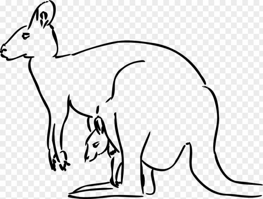 Kangaroo Red Drawing Clip Art PNG