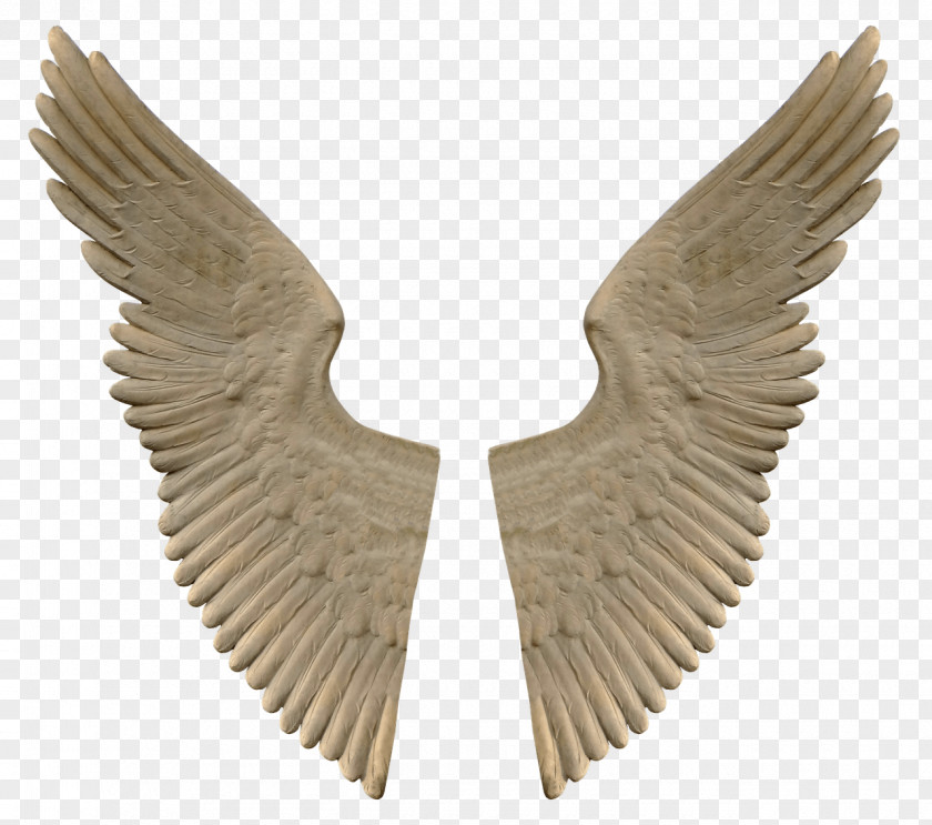 Stone Angel Wings PNG Wings, angel wing art clipart PNG