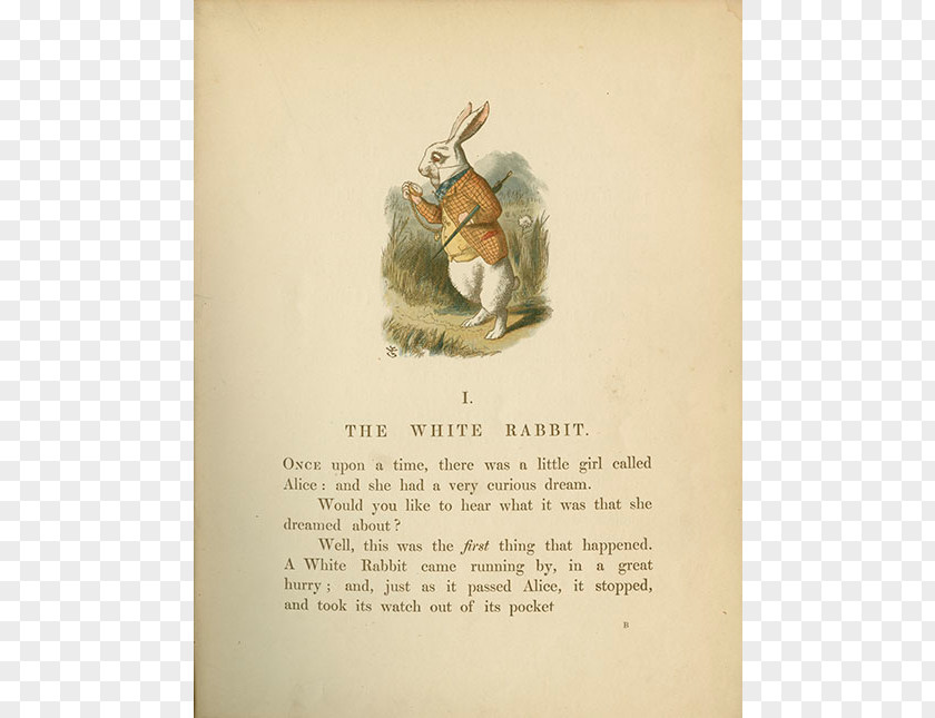 White Rabbit Alice Alice's Adventures In Wonderland The Nursery 