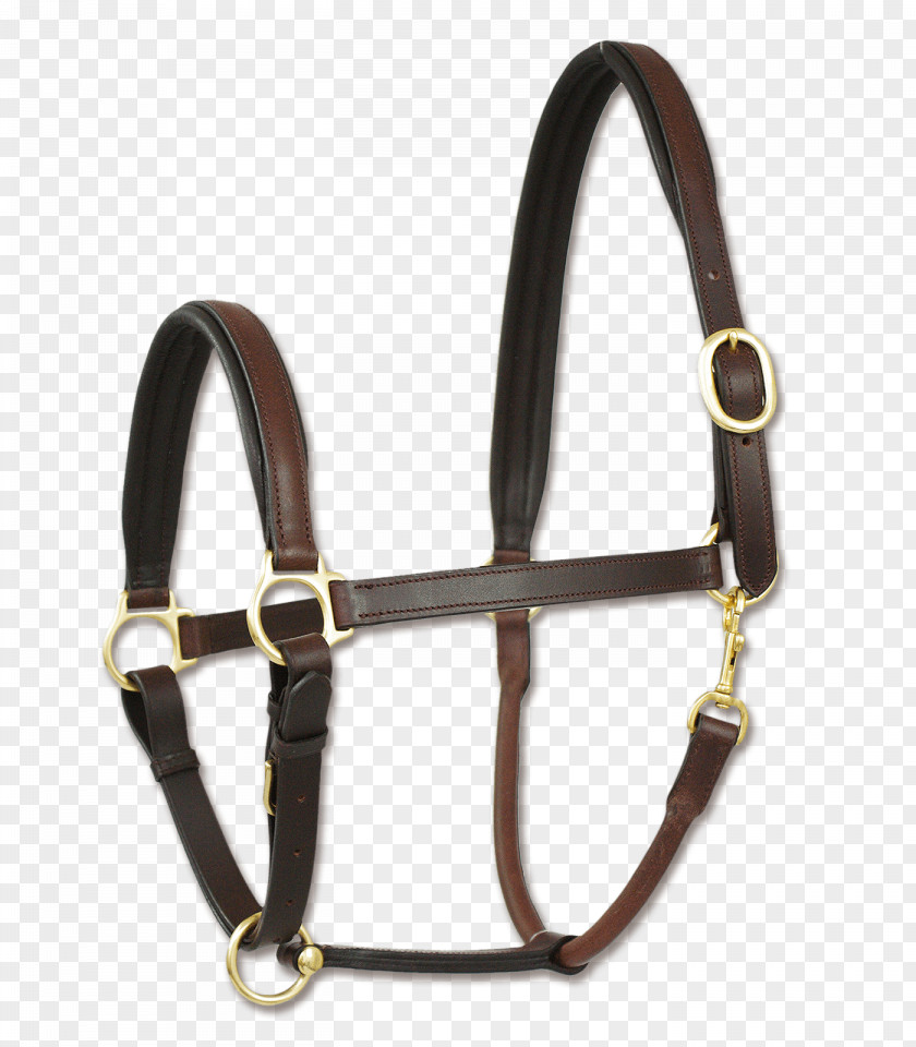 A Collar For Horse Halter Rope Leather Sheep PNG