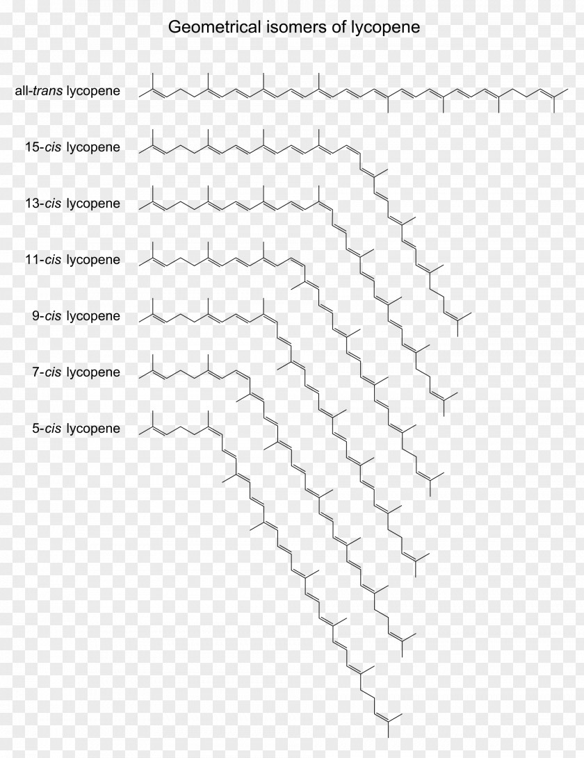 Data Structure Line Point Angle White Font PNG