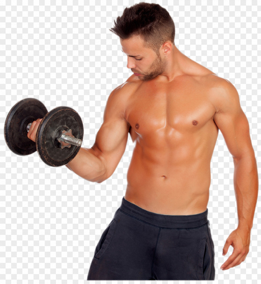 Fitness Center Weight Training Physical Exercise Olympic Weightlifting Muscle Centre PNG