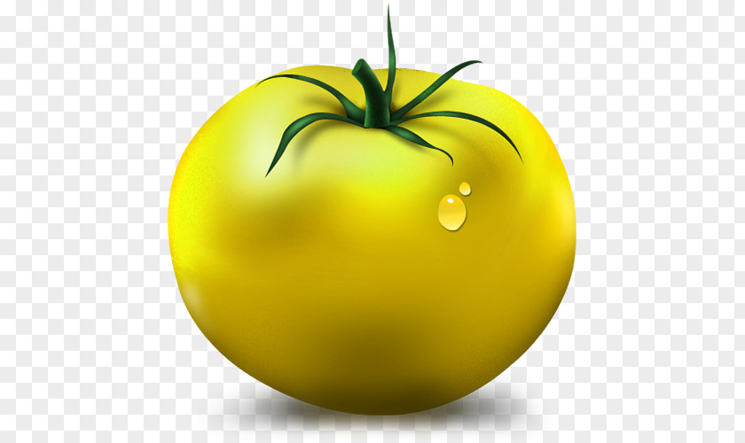Green Tomatoes WaterBall Tomato Tomatillo PNG