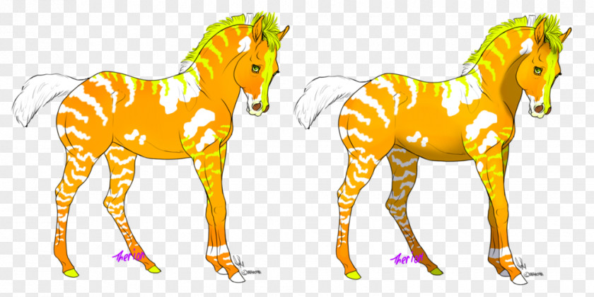 Mustang Foal Mane Stallion Colt PNG