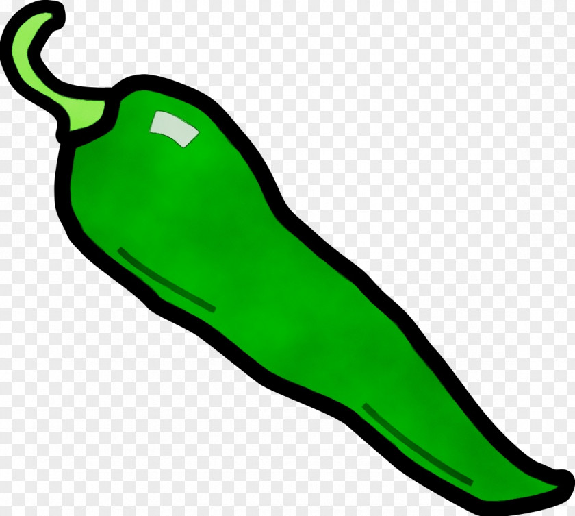 Nightshade Family Serrano Pepper Jalapeño Bell Peppers And Chili Vegetable Clip Art PNG