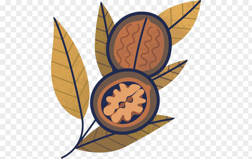 Walnut Leaves Leaf Illustration PNG
