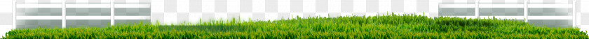 Agricultural Land Desktop Wallpaper Grasses Sunlight Line Leaf PNG