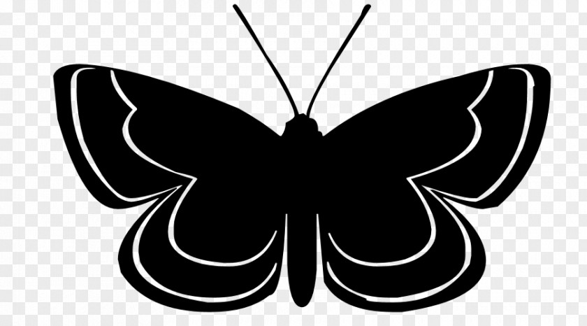 Butterfly Silhouette Cliparts Visual Arts Clip Art PNG