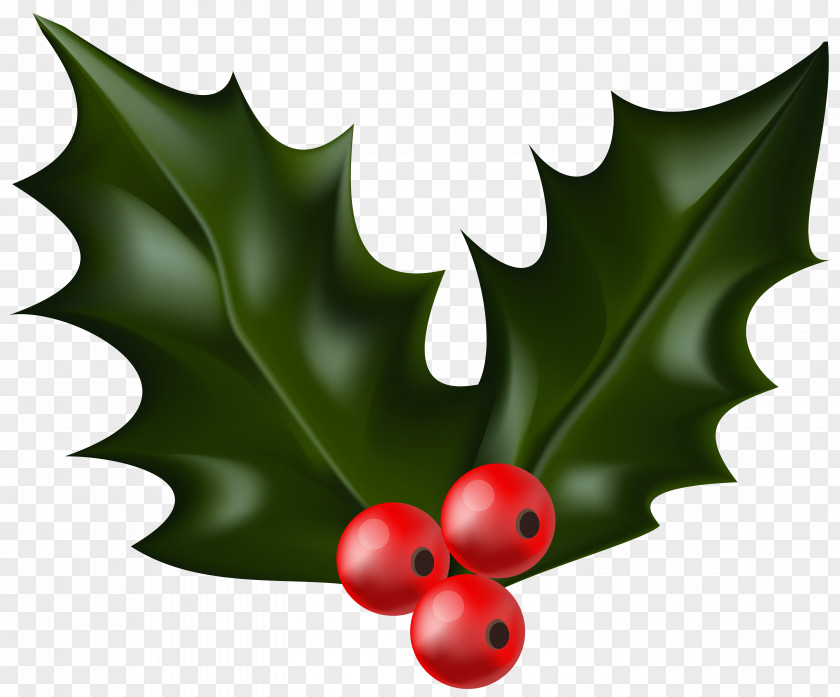 Christmas Holly Mistletoe Clip Art PNG