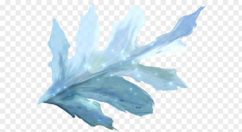 Feather Plant Water Cartoon PNG