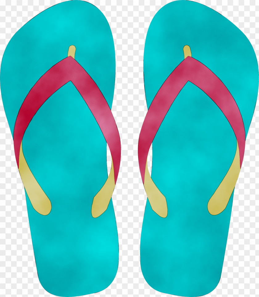 Flip-flops Slipper Sandal Shoe Footwear PNG