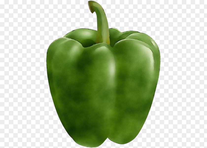 Food Plant Bell Pepper Pimiento Green Capsicum PNG