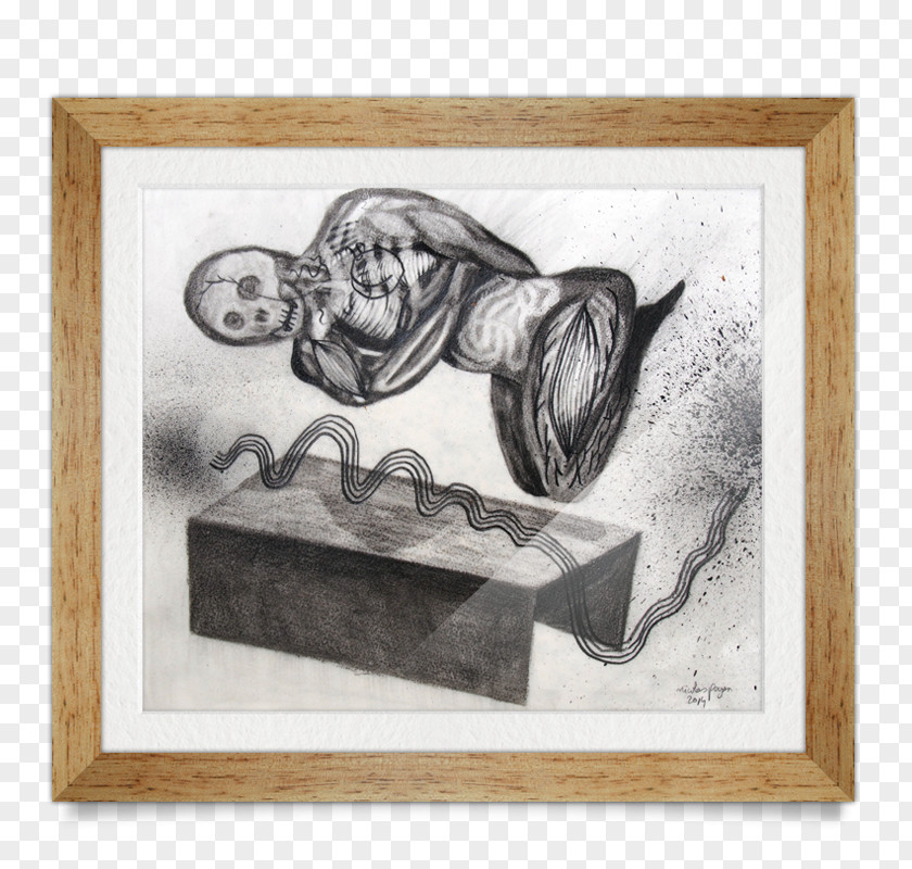 Pegon Still Life Photography Drawing PNG