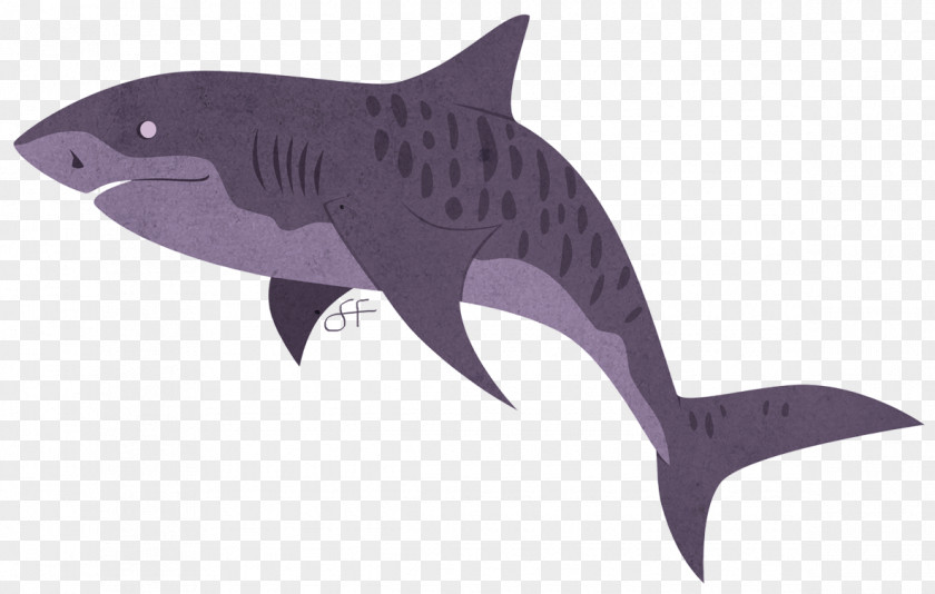 Tiger Shark Marine Biology Requiem Sharks Mammal PNG