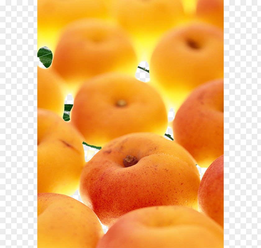 Yellow Fruit Apricot Clementine Auglis PNG