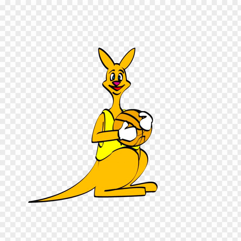 A Kangaroo Carrying Basketball Vecteur PNG
