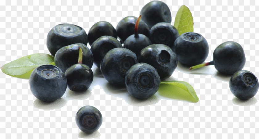Chokeberry Blueberry Olive Tree PNG