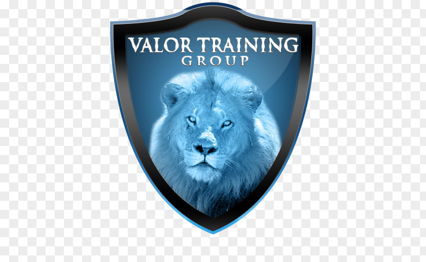Group Training Valor Professional BALOO PNG