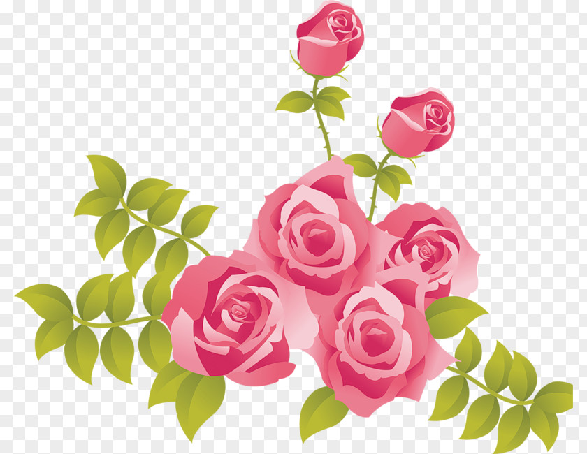 Pink Roses Painted Picture Clipart Rose Clip Art PNG