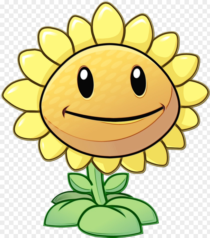 Daisy Family Pleased Sunflower PNG