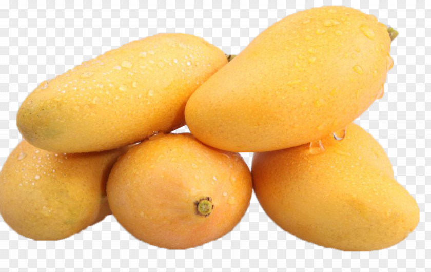 Mango Juice Anipop Food Fruit PNG