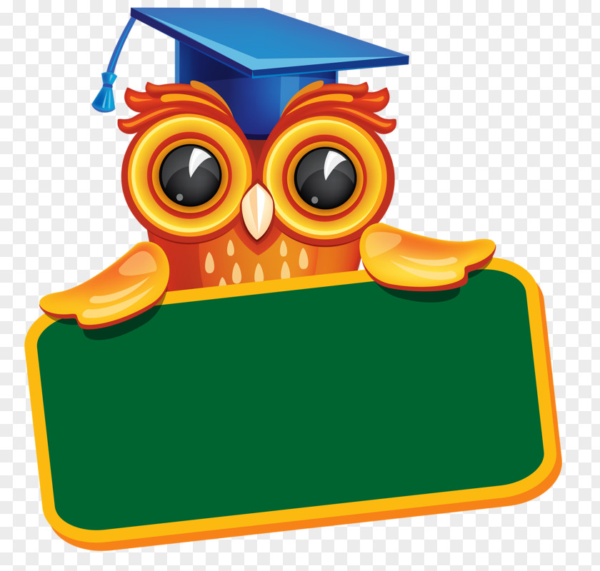 Owl And Chalkboard Diploma Graduation Ceremony Clip Art PNG