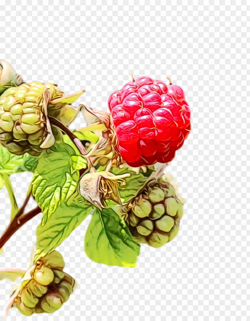 Raspberry Natural Foods Superfood PNG