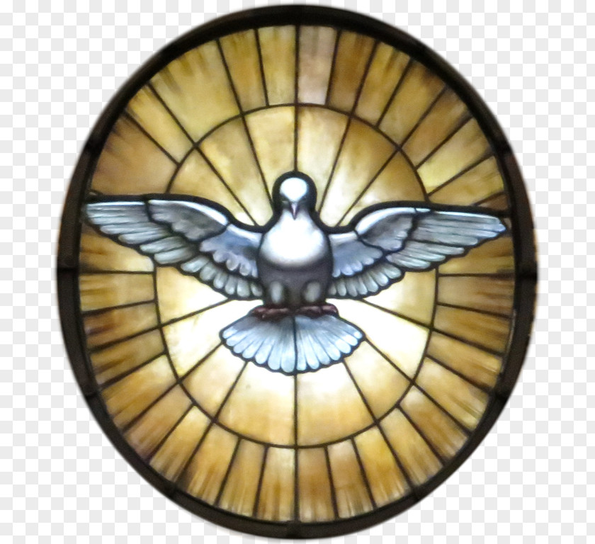 Spirit Holy In Christianity Doves As Symbols Baptism Sacraments Of The Catholic Church PNG