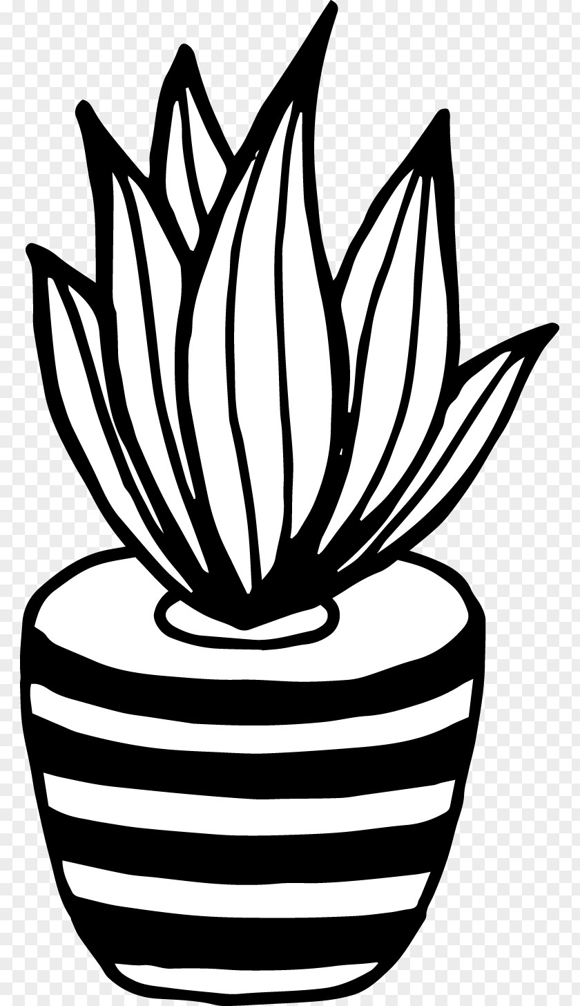 Aloe Black Line Drawing And White Cactaceae Art PNG