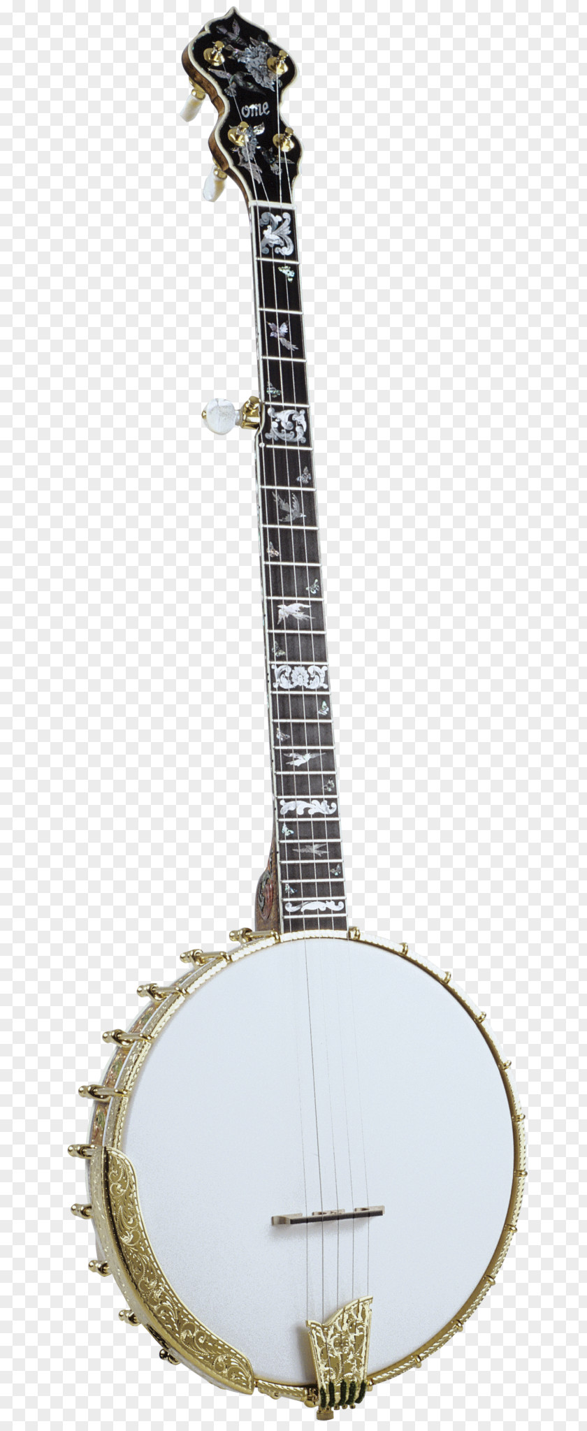 Banjo Background Guitar Uke Musical Instruments Electric PNG