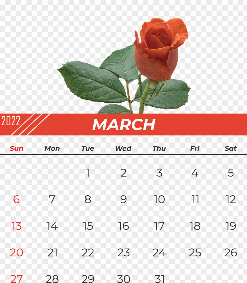 Calendar Font Flower Meter PNG