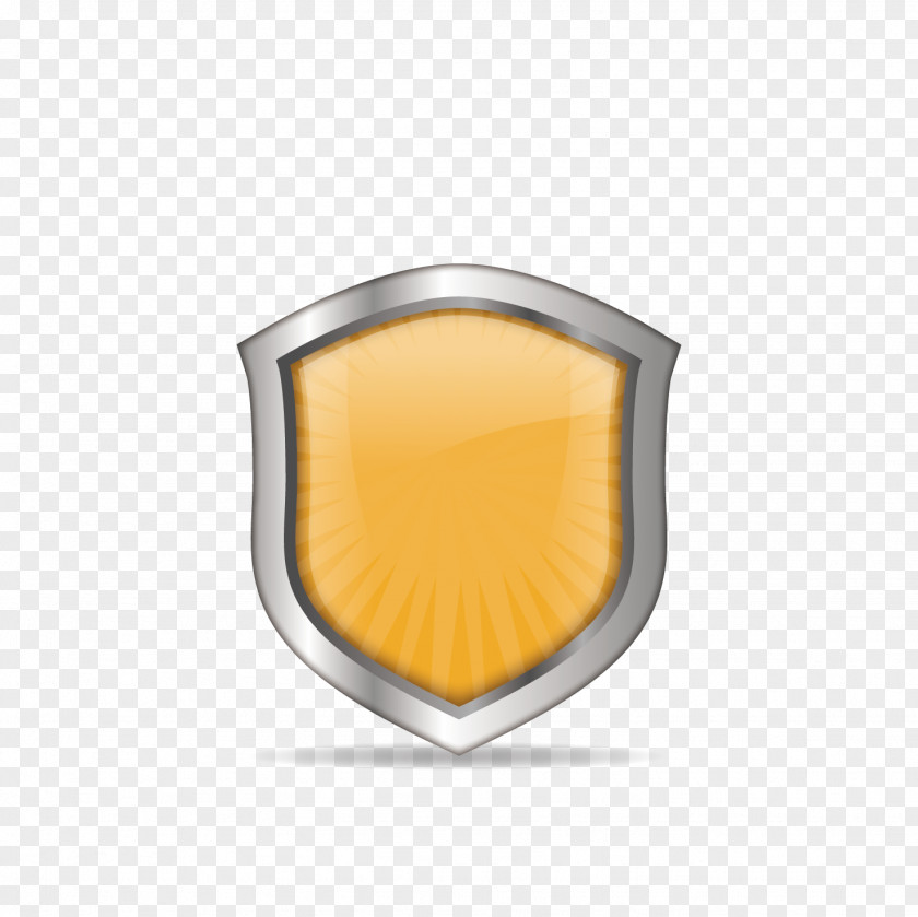 Color Texture Shield Computer File PNG