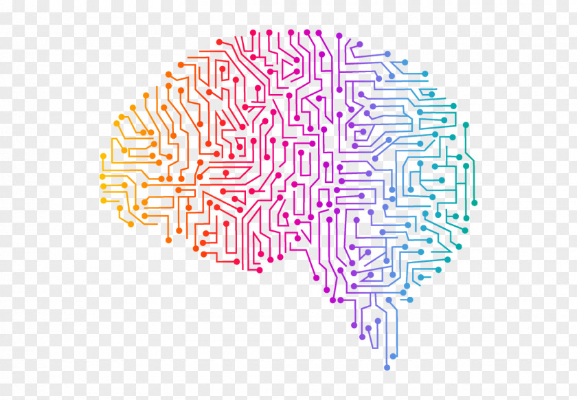 Decorations Human Brain Technology PNG