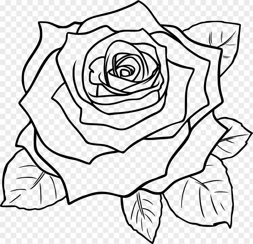 Drawing Flower Black Rose Clip Art PNG