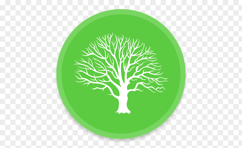 Family Tree IPhone MacFamilyTree Inno Memorial Desing Genealogy Cannabliss PNG