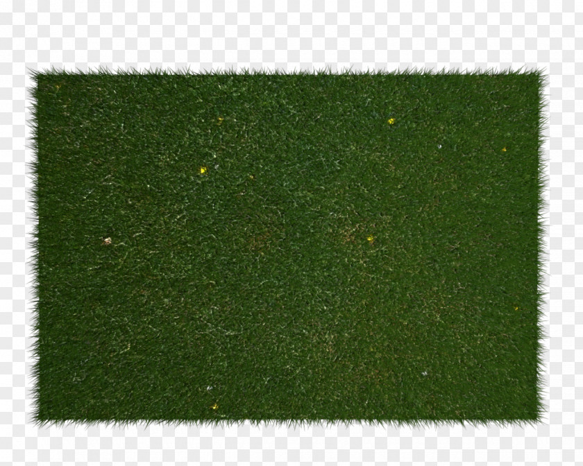 Field Lawn Artificial Turf Plant Shrub Rectangle PNG