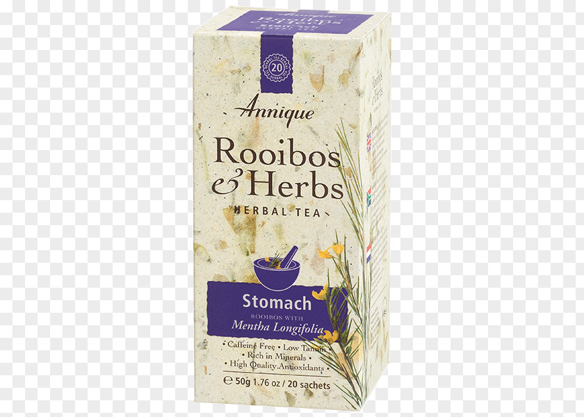 Mentha Longifolia Green Tea Rooibos Herbal Plant PNG