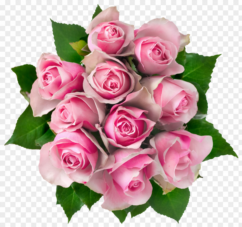 Transparent Pink Roses Bouquet Clipart Picture Flower Rose Clip Art PNG