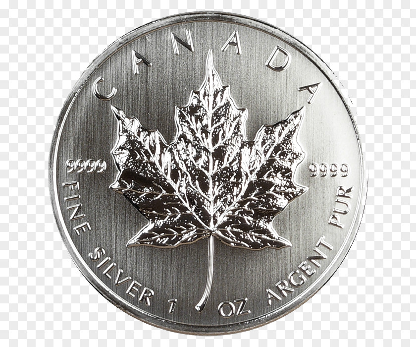 Uncirculated Coin Silver Tree PNG