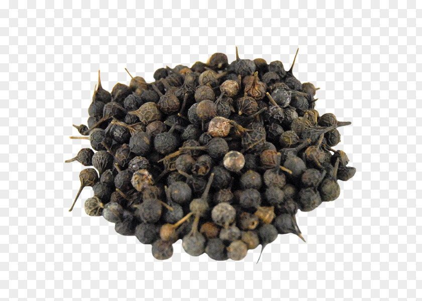 Black Pepper Cubeb Gin Coriander Spice PNG