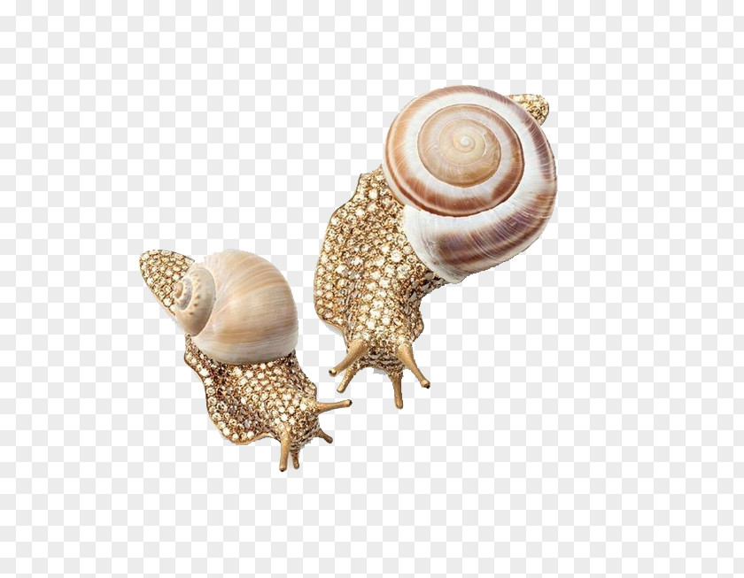 Golden Snail Brooch Jewellery Diamond Hemmerle Fibula PNG