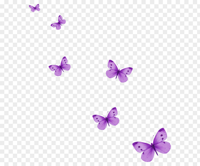 Purple Butterfly Icon PNG