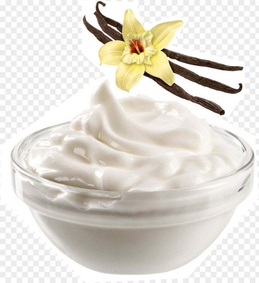 Vanilla Flat-leaved Ice Cream Flavor Frozen Yogurt PNG