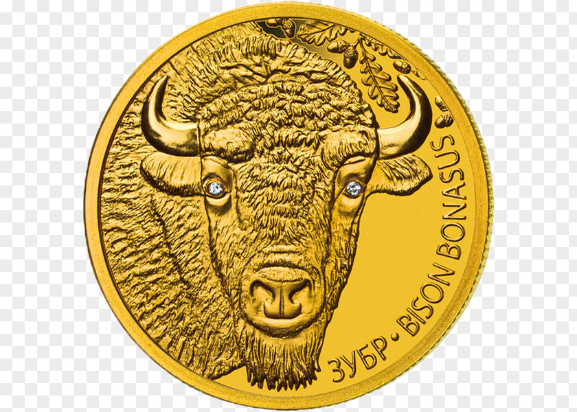 50 Fen Coins Belarus Bison Bonasus Gold Coin PNG